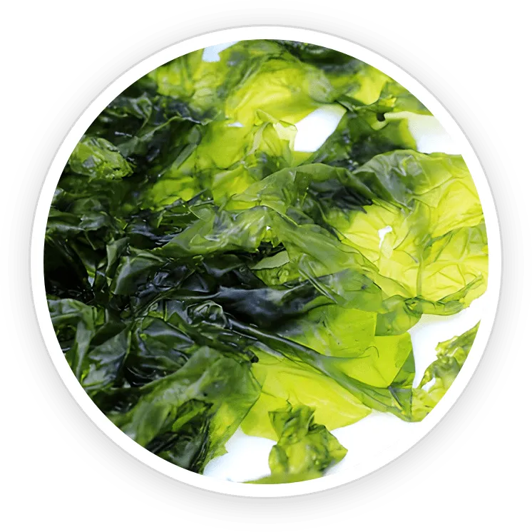 AquaPeace Ingredient Nori Yaki