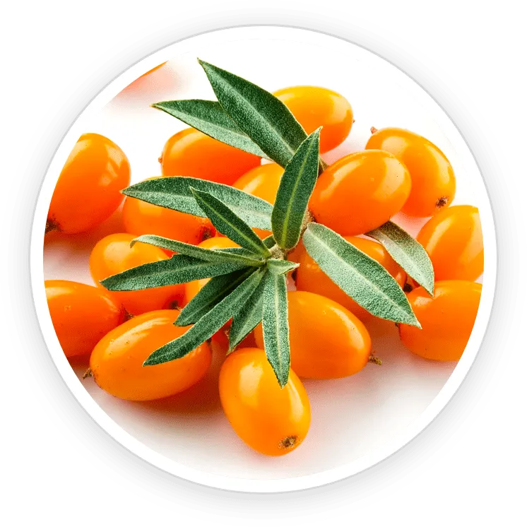 AquaPeace Ingredient Sea Buckthorn
